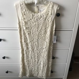 Velvet by Graham & Spencer Cream Lace Dress Sz S